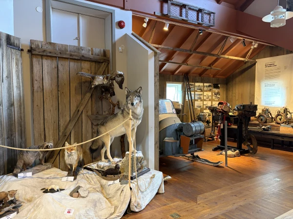 Åland Hunting and Fishing Museum - attraction photo 3