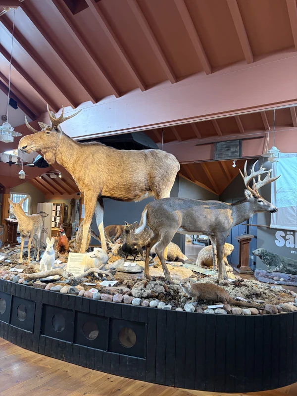 Åland Hunting and Fishing Museum - attraction photo 4