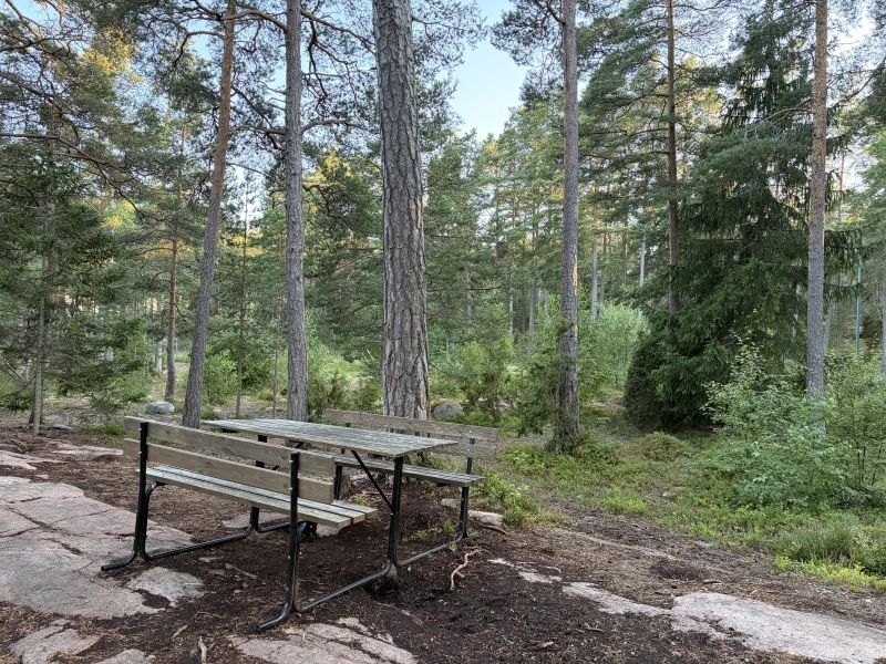 Bästis koertepark (Mariehamn) - attraction photo 2