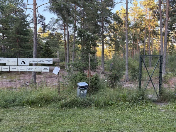 Bästis koertepark (Mariehamn) - attraction photo 3