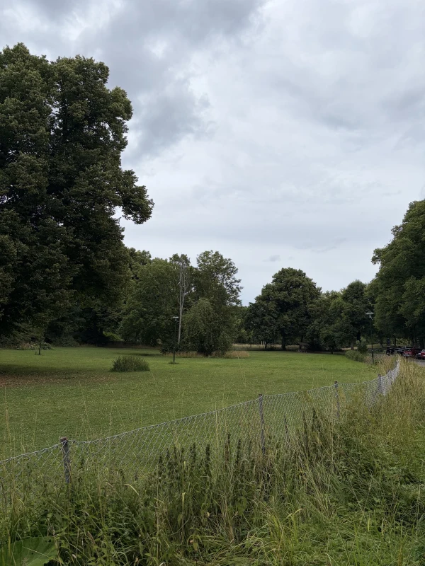 Djurgårdeni koertepark (Frisensi park) - attraction photo 3