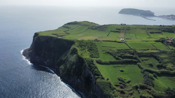 Faial - city photo 4