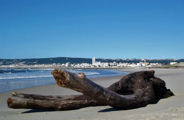 Figueira da Foz - city photo 4