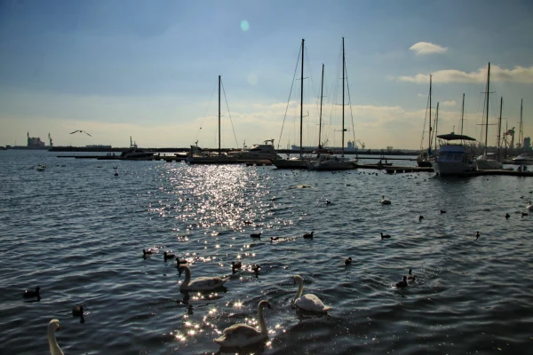 Mangalia - city photo 3
