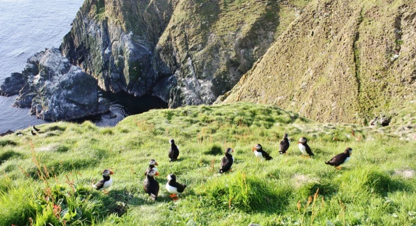 Shetland Islands - city photo 4
