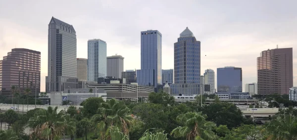Tampa Bay - city photo 3