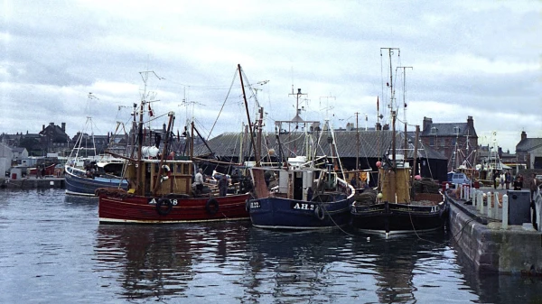 Arbroath Marina - фото марины 3