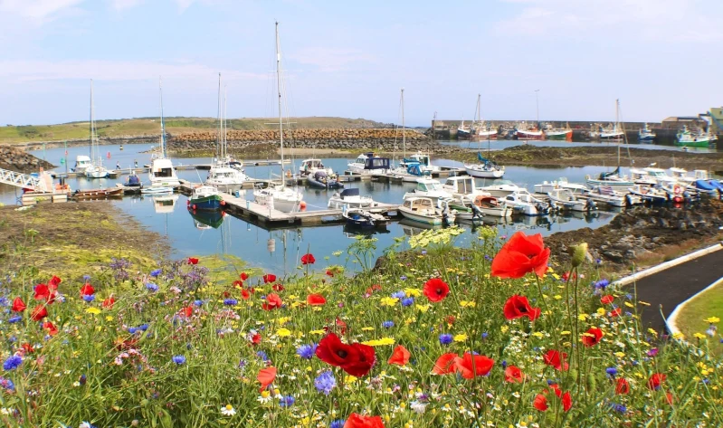 Ardglass Marina - фото марины 2
