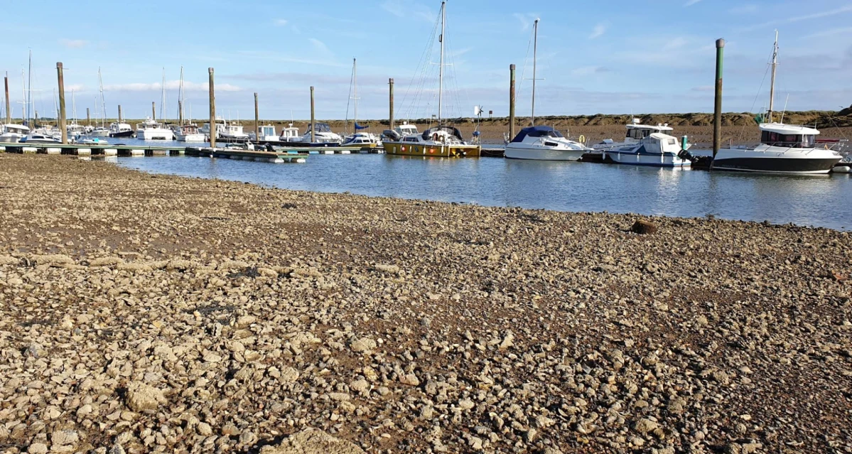 Bridgemarsh Marina - фото марины 1