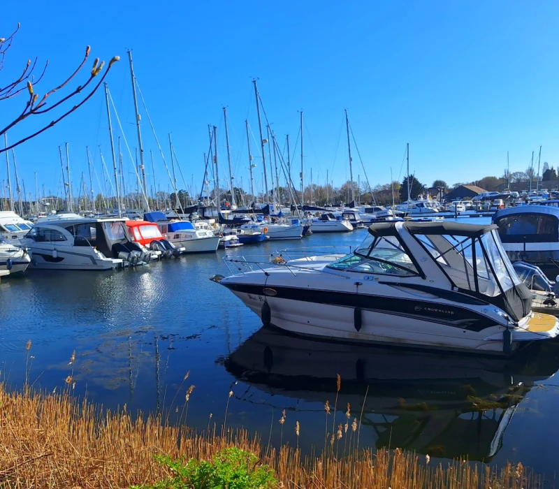 Chichester Marina - фото марины 2