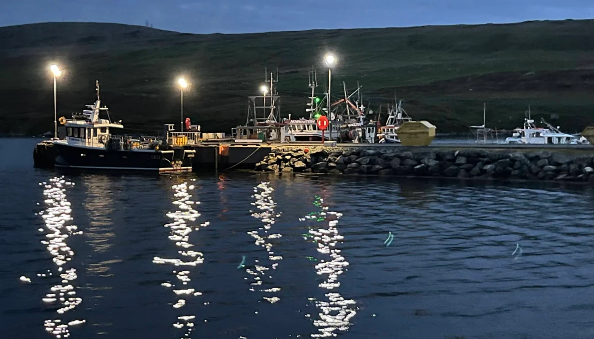 Collafirth Marina - marina photo 1