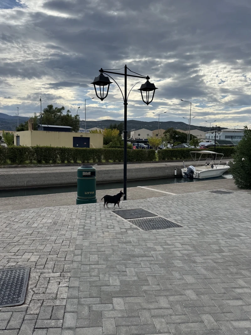 D-Marin Lefkas - marina photo 2