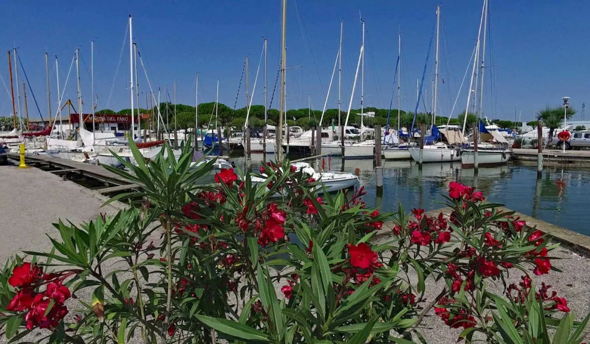 Marina del Faro - фото марины 1