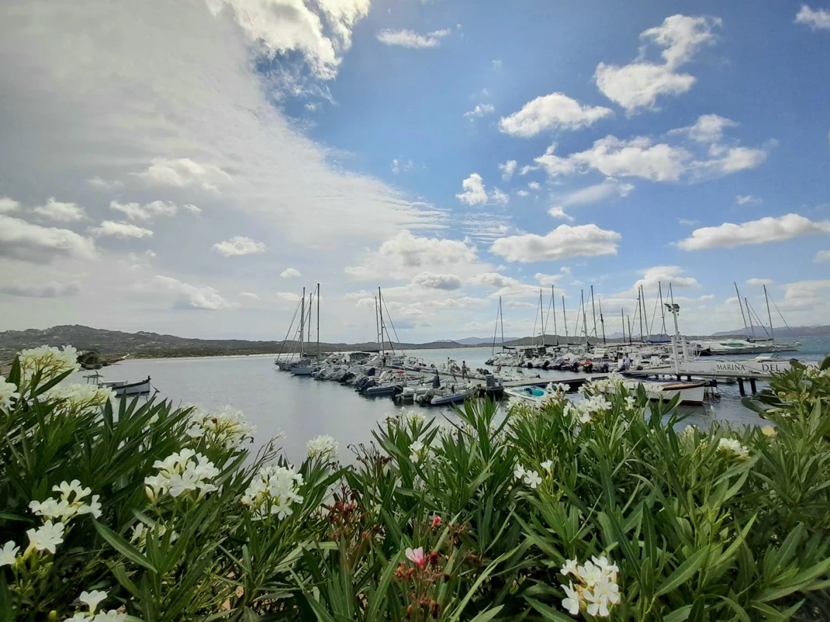 Marina del Ponte - фото марины 1