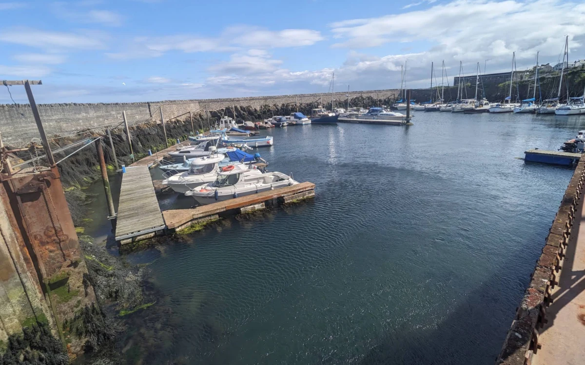 Donaghadee Harbour - фото марины 1