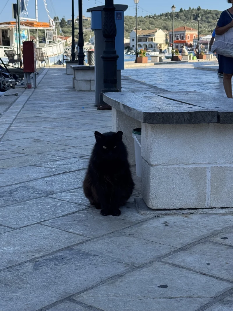 Gaios Marina - marina photo 2