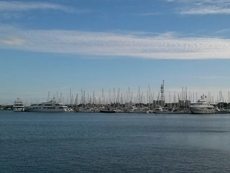Harborage Marina - фото марины 2
