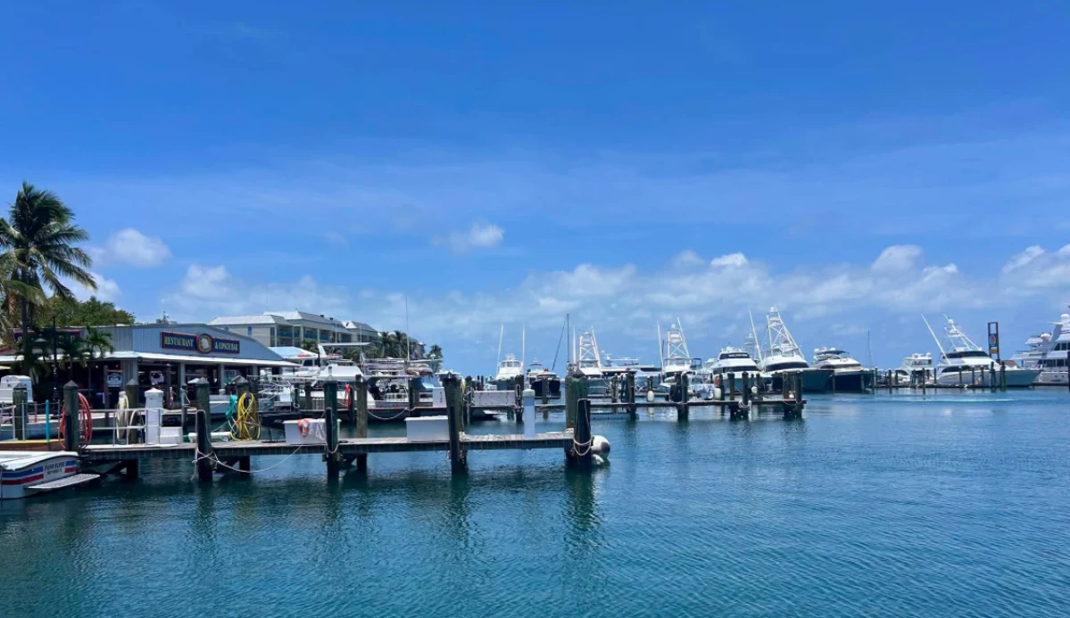 Key West Bight Marina - marina photo 1