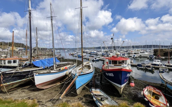 Mylor Yacht Harbour - фото марины 3