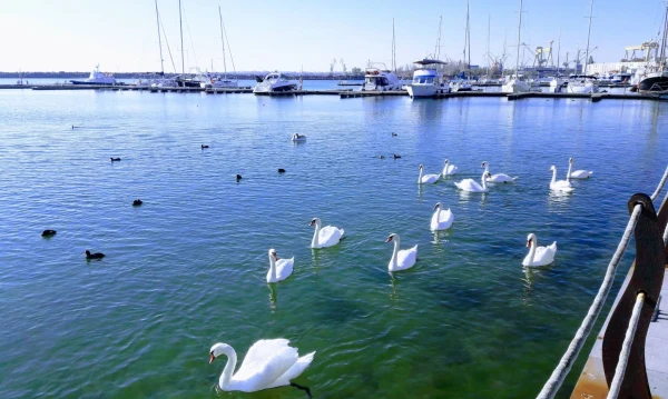 Port turistic Mangalia - marina photo 3