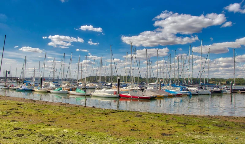 Royal Harwich Yacht Club Marina - фото марины 2