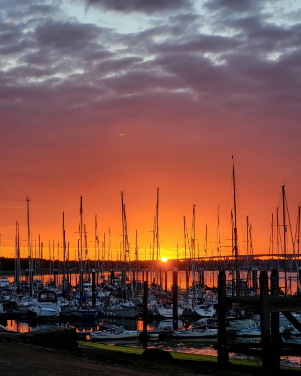 Royal Harwich Yacht Club Marina - фото марины 3