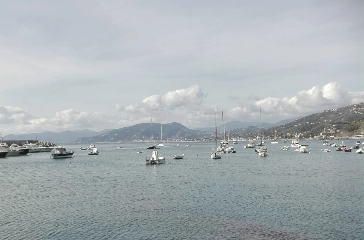 Marina Sestri Levante - фото марины 1