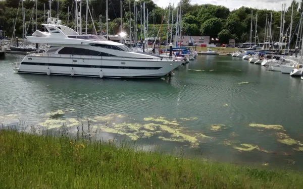 Shotley Marina - marina photo 3