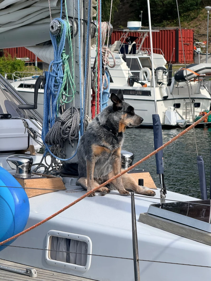Marina Skansholmen - marina photo 2