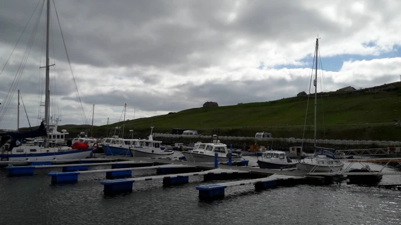 Skeld Marina - marina photo 2