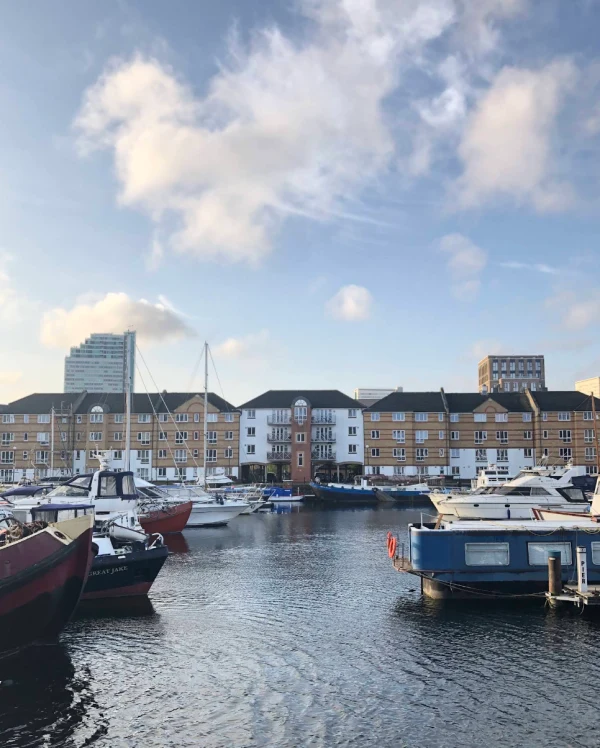South Dock Marina - marina photo 3