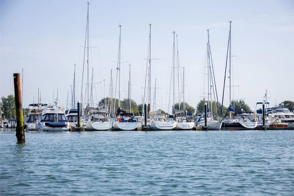 Sparkes Marina - фото марины 3