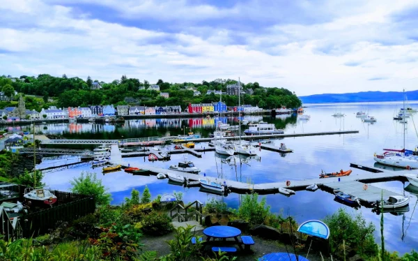 Tobermory Harbour - фото марины 3