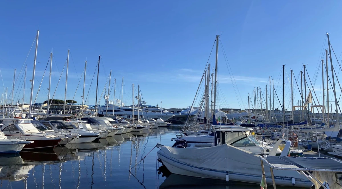 Marina Viareggio - фото марины 1