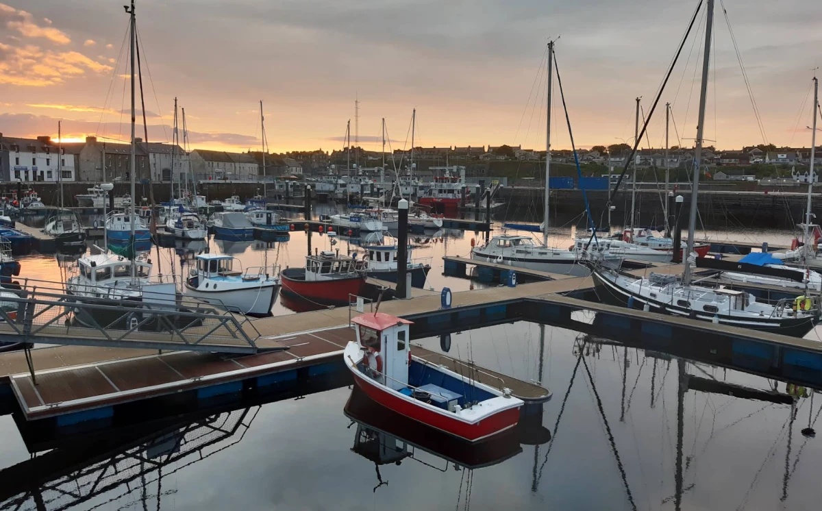 Wick Marina - marina photo 1