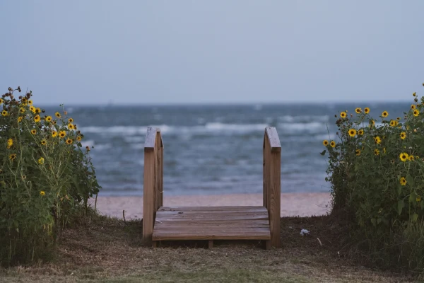 Gulf of Mexico - region photo 4