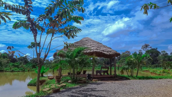 Атлантика Западной Африки - фото региона 4