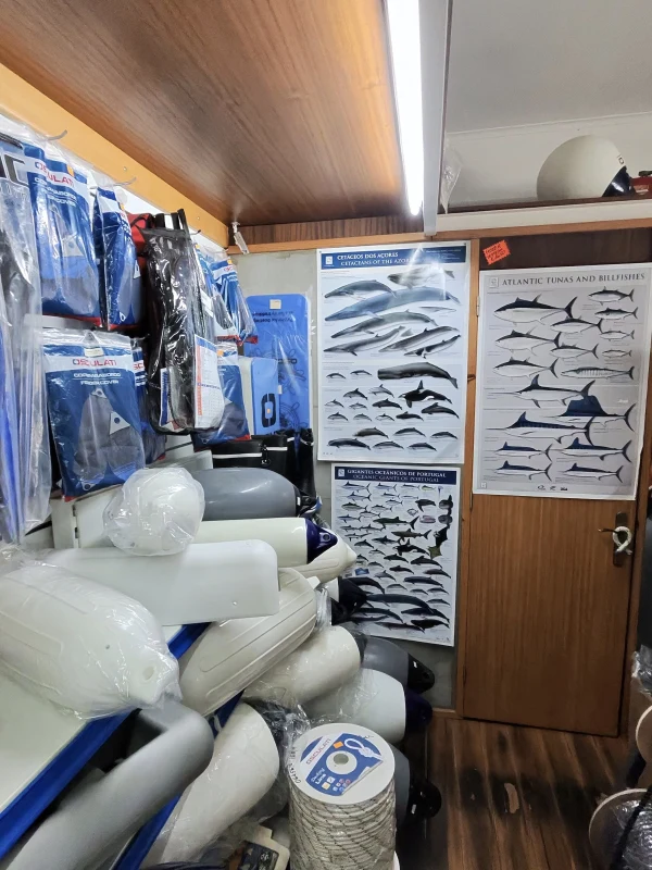 Bait & Tackle - store photo 3
