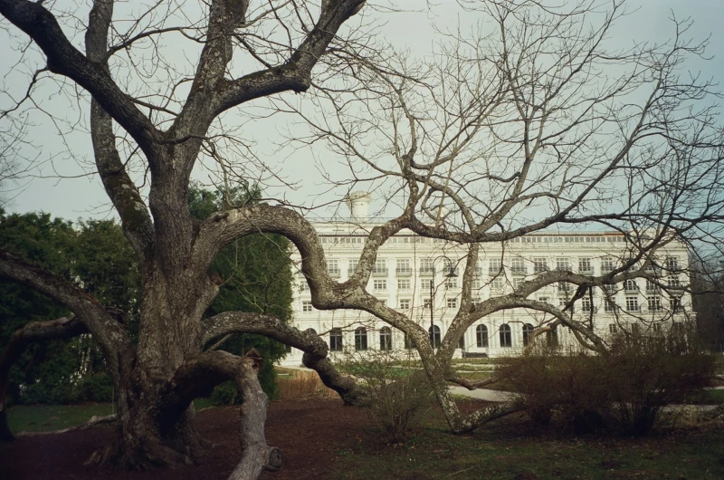Jūrmala - фото города 2