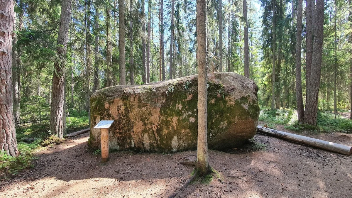 Elu kivil Virve - фото достопримечательности 1