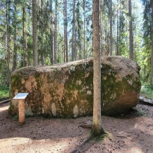 Elu kivil Virve