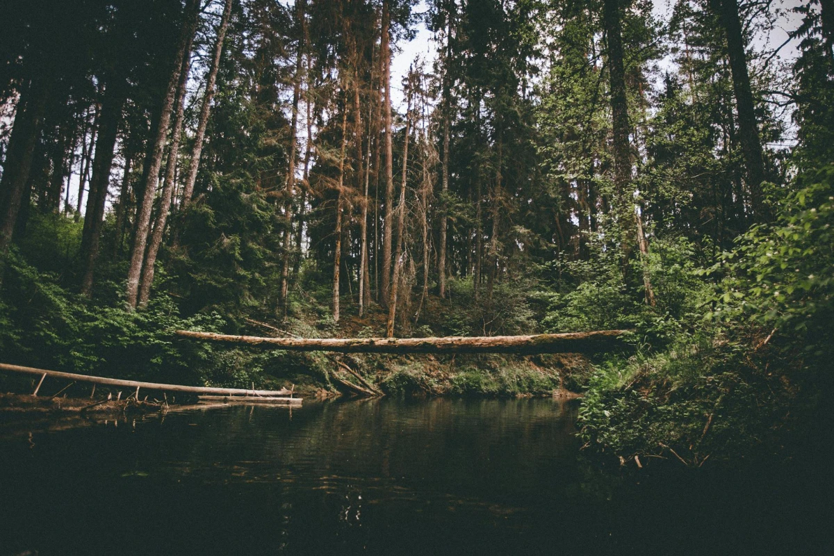Pāvilosta - фото города 1