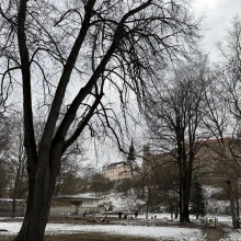 Toompark Dog Park
