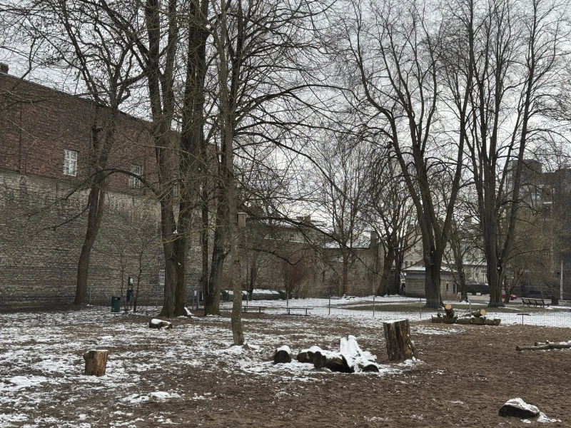 Toompark Dog Park - фото достопримечательности 2