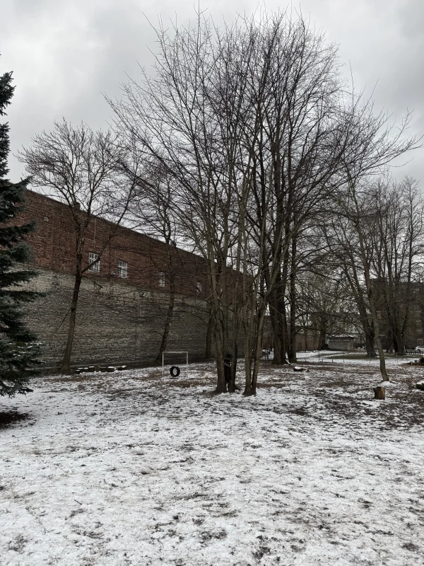 Toompark Dog Park - фото достопримечательности 3