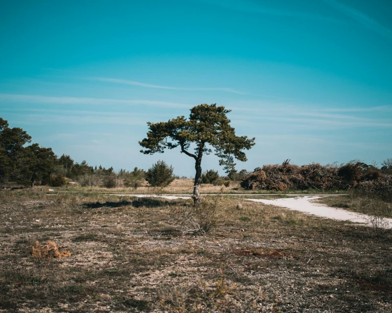 Gotland - фото города 2
