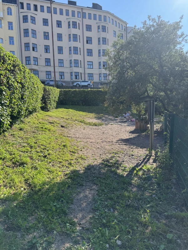 Dog Park - фото достопримечательности 3