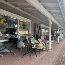 Wahlsten Store