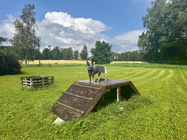 Inkoo Dog Park - фото достопримечательности 4