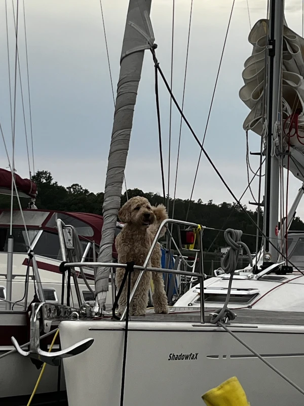 ÅSS Marina - фото марины 3